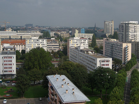 Blick über die Stadt - Elsass (Straßburg)